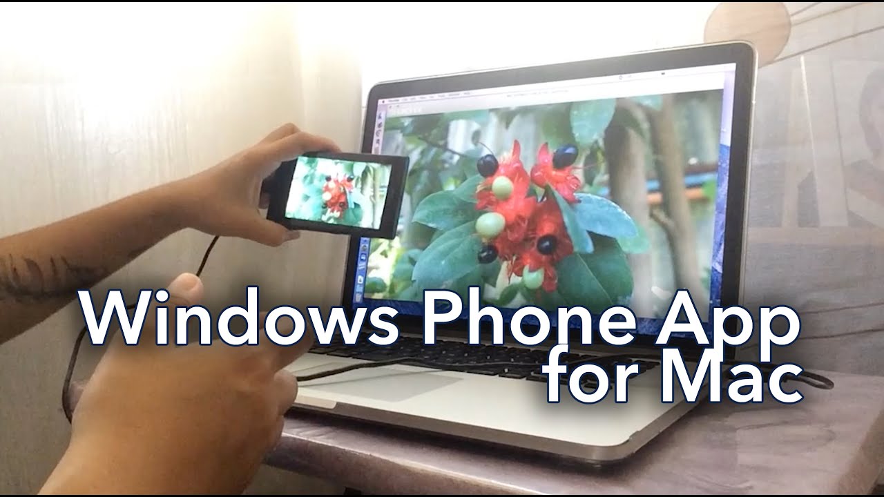 windows phone download for mac